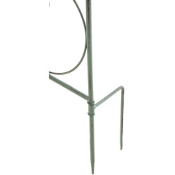 Rankgitter Mandevilla