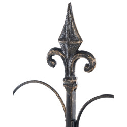 Ensemble de 2 treillis en bronze Mandevilla