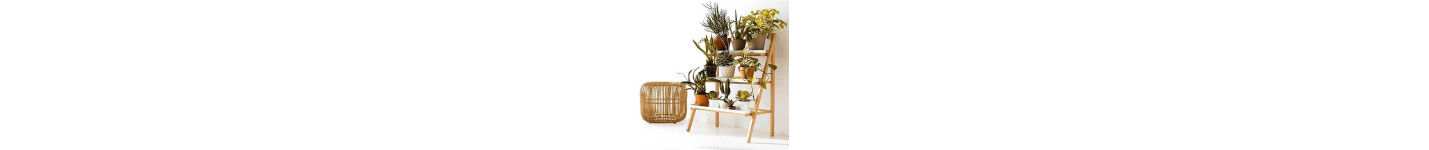 Maison | Jardin