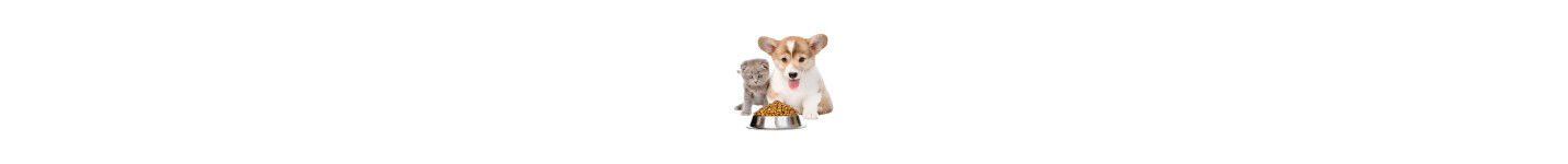 Aliments pour animaux